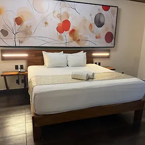 Otel Kavia 5th Avenida (adults Only) ****